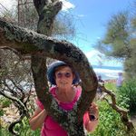 Pat Franklin - @pat.franklin.5074 - Instagram
