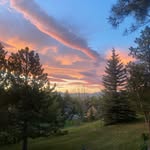 Pat Franks - @patfranks5 - Instagram