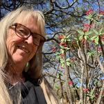 Pat Frederick - @dpfred1974 - Instagram