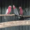 patfredericks380 - @patfredericks380 - TikTok