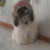 Patti Freeland - @user4872843636578 - TikTok