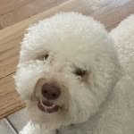 Pat Friend - @friend5282 - Instagram