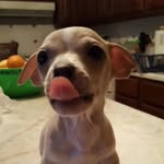 Pat Friend - @pat.friend212 - Instagram