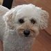 Pat Nelson Friend - Facebook