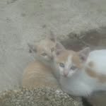 Patfriend - @patfriend03 - Instagram