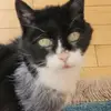 patriciafullerton4 - @patriciafullerton4 - TikTok