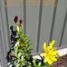 Pat Gale - Facebook