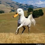 Pat Gallardo - @pat__gallardo - Instagram