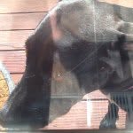 Pat Gallardo - @pat_gallardo1 - Instagram