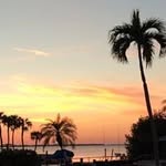 Pat - @patgallenberg - Instagram