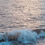 Pat Gannon - @p.m.gannon - Instagram