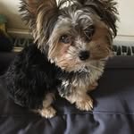 Pat Gannon - @patser_g - Instagram