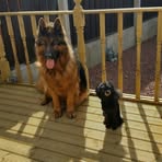 Pat Gardiner - Facebook