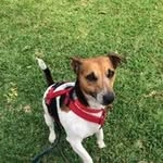 Pat Gardiner - @gardiner1861 - Instagram