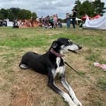 Pat Gardiner - @pat.gardiner.77 - Instagram