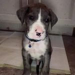 Pat Gilmer - @patgilmer12 - Instagram