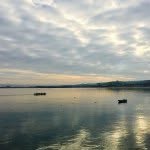 Pat Goodall - @patsgoodall - Instagram
