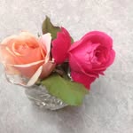 Pat Graves - @patgraves7260 - Instagram