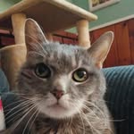 Pat Graves - @patgraves6 - Instagram