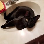 Pat Griffith - @pat.griffith.5688 - Instagram