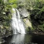 Pat Gross - @pat_gross - Instagram