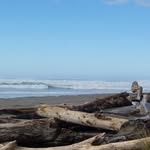 Pat Gross - @phyllpat - Instagram