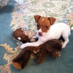Pat Gross - @gross.pat - Instagram
