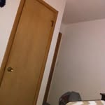 Pat Gross - @pat.gross.9231 - Instagram