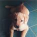 Pat Guiney - Facebook