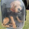 Patti - @patti.gunter63 - TikTok