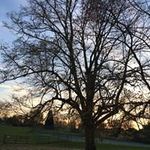 Pat Hackett - @hackettp847 - Instagram