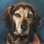 Pat Haley - @forevermorepetportraits - Instagram
