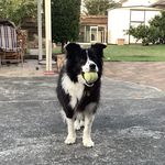 Pat Haley - @pat.haley.77 - Instagram
