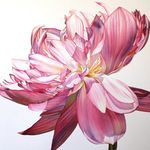 Pat Hall - @pat_hall_art - Instagram
