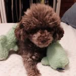 Pat Hall - @pathall9219 - Instagram