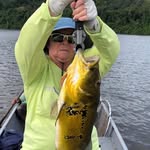 Pat Hancock - @pat.hancock.5099 - Instagram