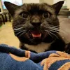 patsyhancock105 - @patsyhancock105 - TikTok