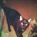 Pat Hanes - Facebook