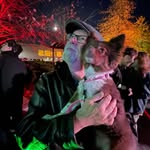 Pat Harbison - @patharbison - Instagram