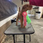 Patty Brill Harbison - @pattybrillharbison - Instagram