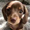 Tharnmork🌨️ - @patharn.r9 - TikTok