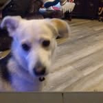 Pat Harrington - @patharrington2 - Instagram