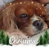 Pat Hartman - @pat.hartman - TikTok