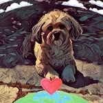 Pat Hartmann - @mphart6835 - Instagram