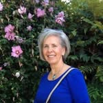 Pat Haynes - @pathaynes4649 - Instagram