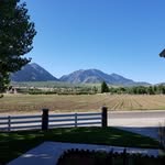 Pat Haynes - @pat.haynes.980 - Instagram