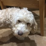 Pat Healey - @_pat.healey_ - Instagram