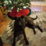 Pat Healey - @pat.healey.7146 - Instagram