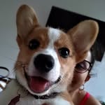 Héctor Francisco - @hector_patitas_cortas - Instagram