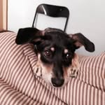 Hector Miguel Patiño Villarroel - @hectormiguelpatinov - Instagram